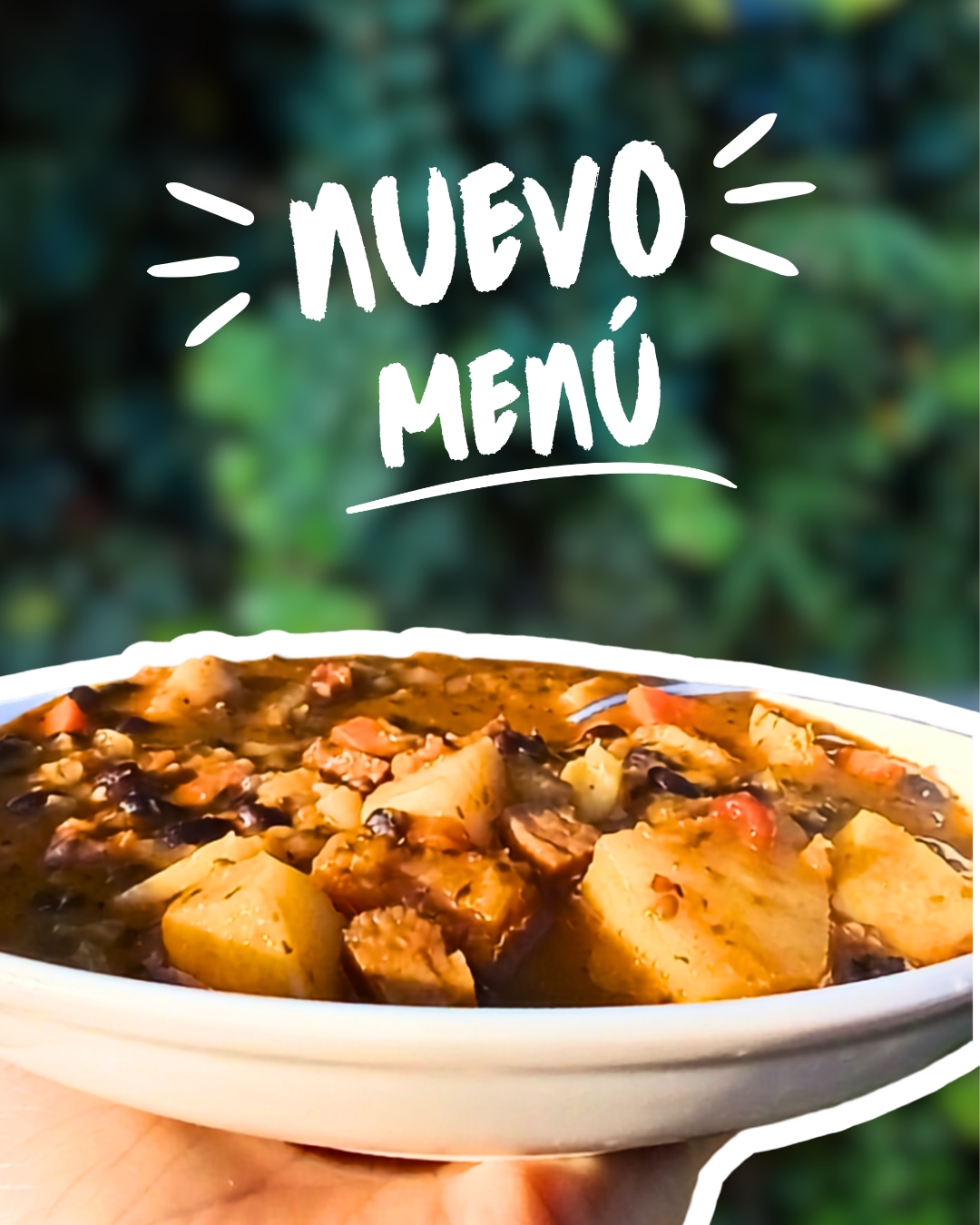 Nuevo menú 🍃